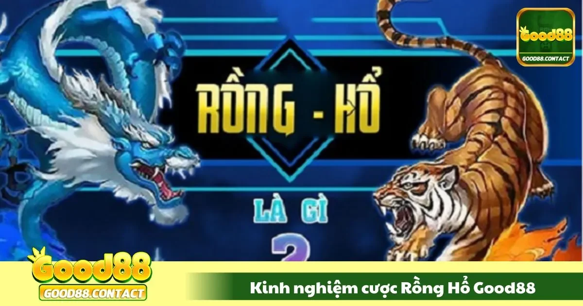 Kinh Nghiệm Cược Rồng Hổ Good88 Từ Cao Thủ Lâu Năm 2 Thời điểm đặt cược tiền rất quan trọng
